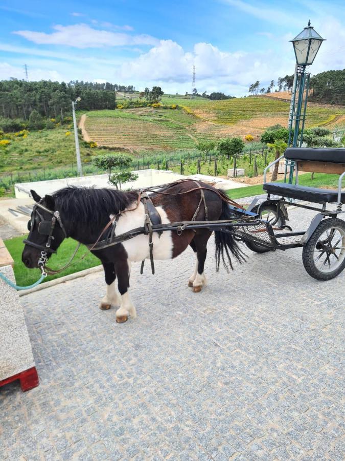 Quinta Da Laceira - Douro Valley - Alojamento Local Vila Real Kültér fotó
